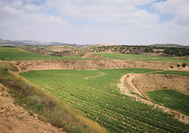 8.5kW solar irrigation system in Yulin City, Shaanxi Province